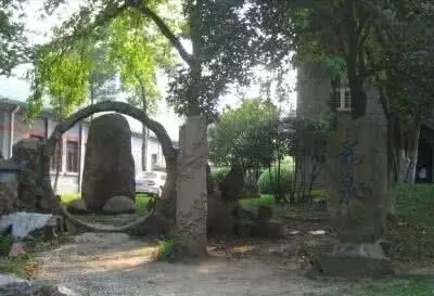 说明: E:/校友返校情况登记和有关信息/返校班级资料/83级中文/“那年”图片/11.jpg